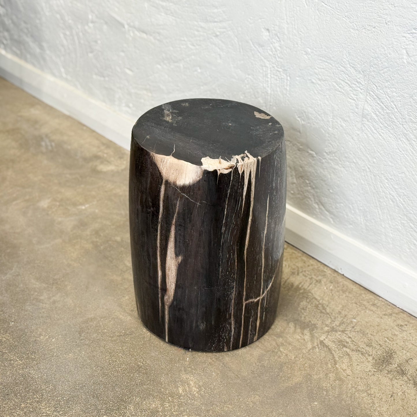 Petrified Wood Stool VII
