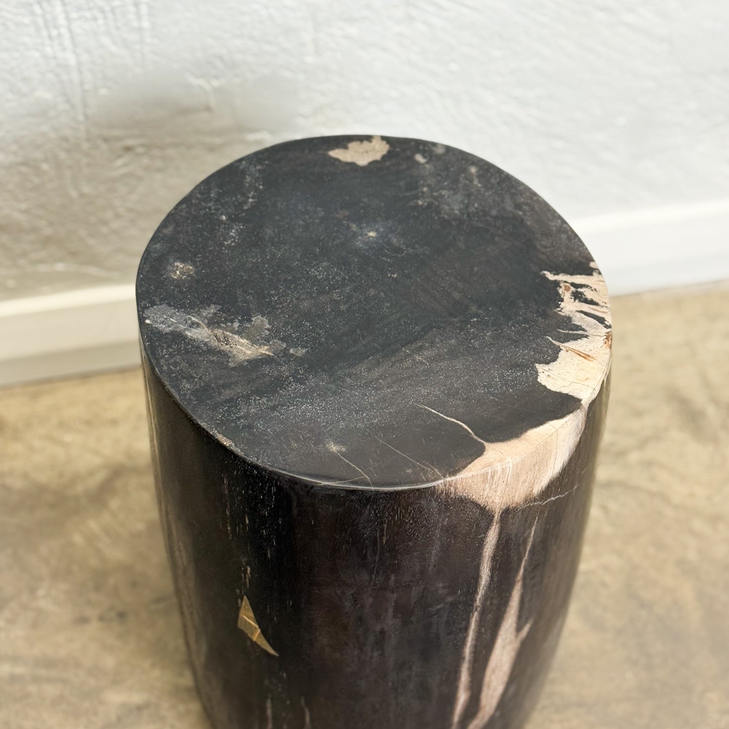 Petrified Wood Stool VII