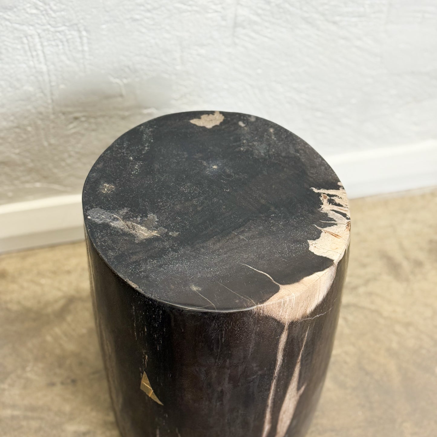 Petrified Wood Stool VII