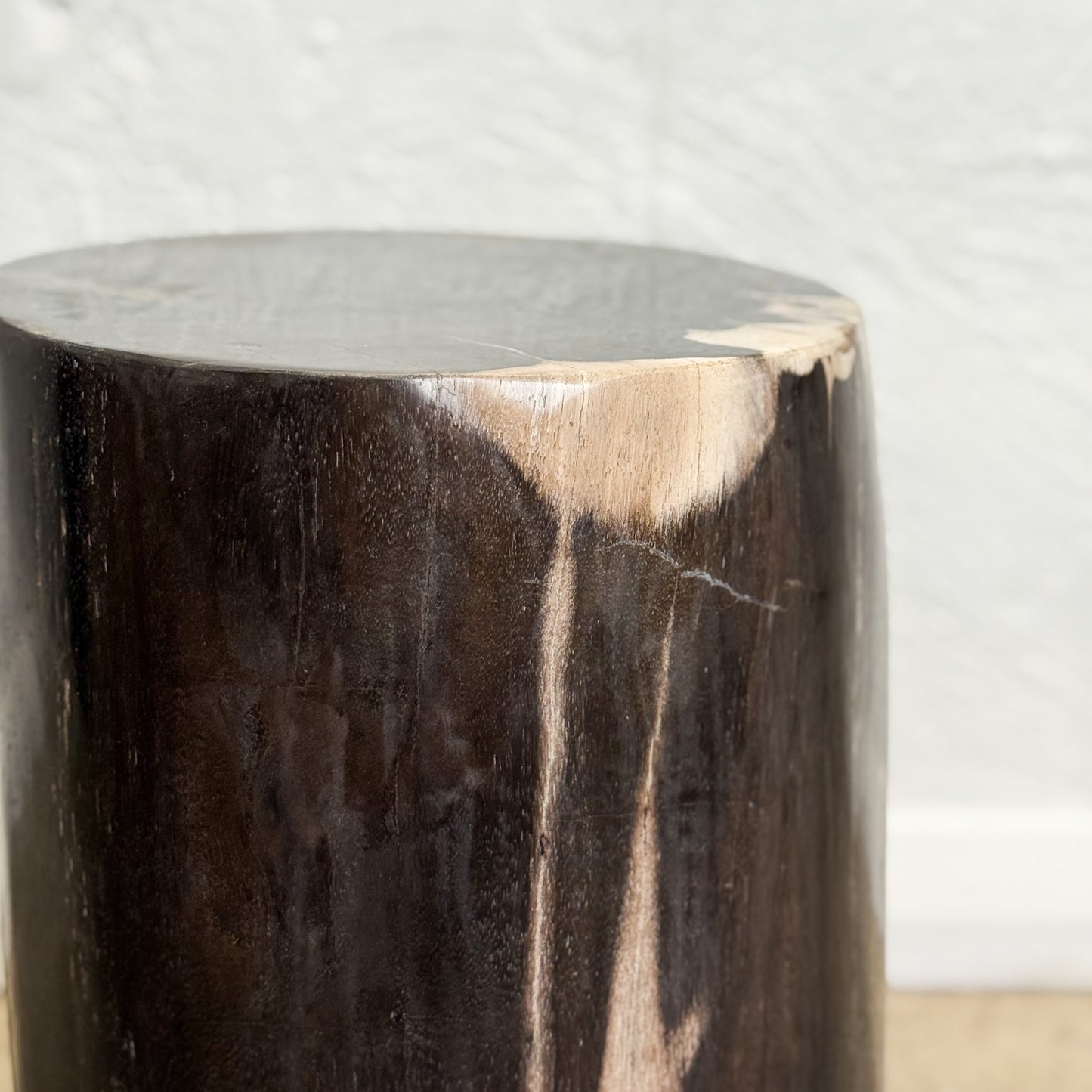 Petrified Wood Stool VII