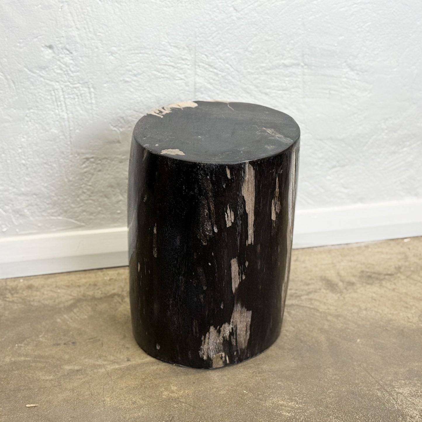 Petrified Wood Stool VII