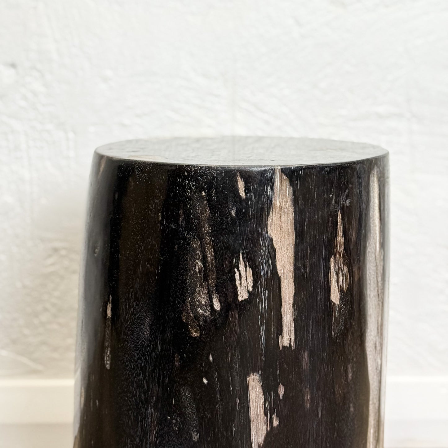 Petrified Wood Stool VII