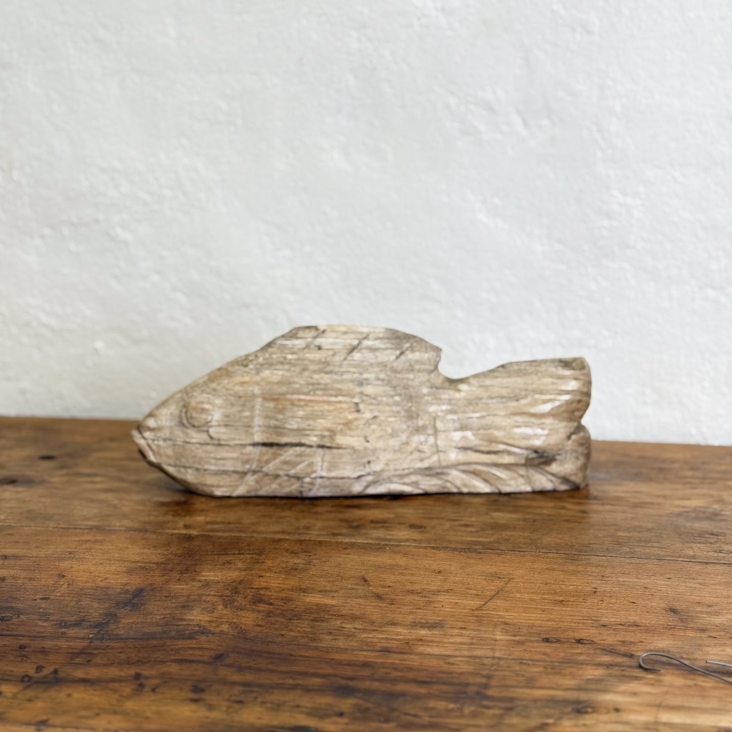 Petrified Wood Fish II