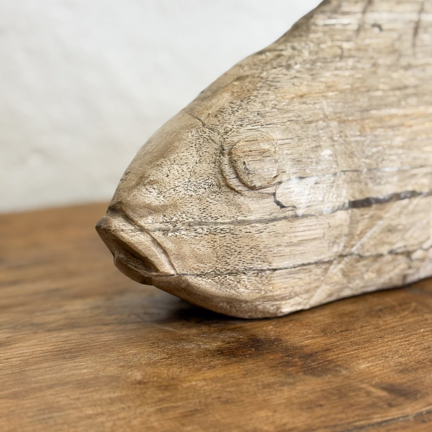 Petrified Wood Fish II