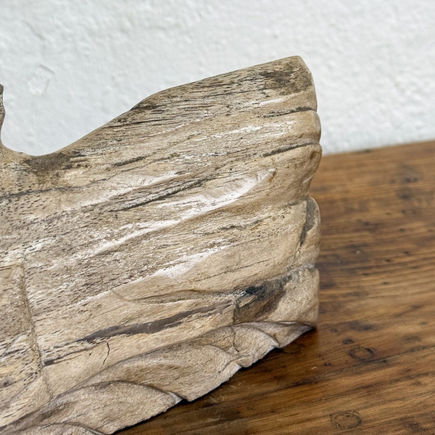 Petrified Wood Fish II