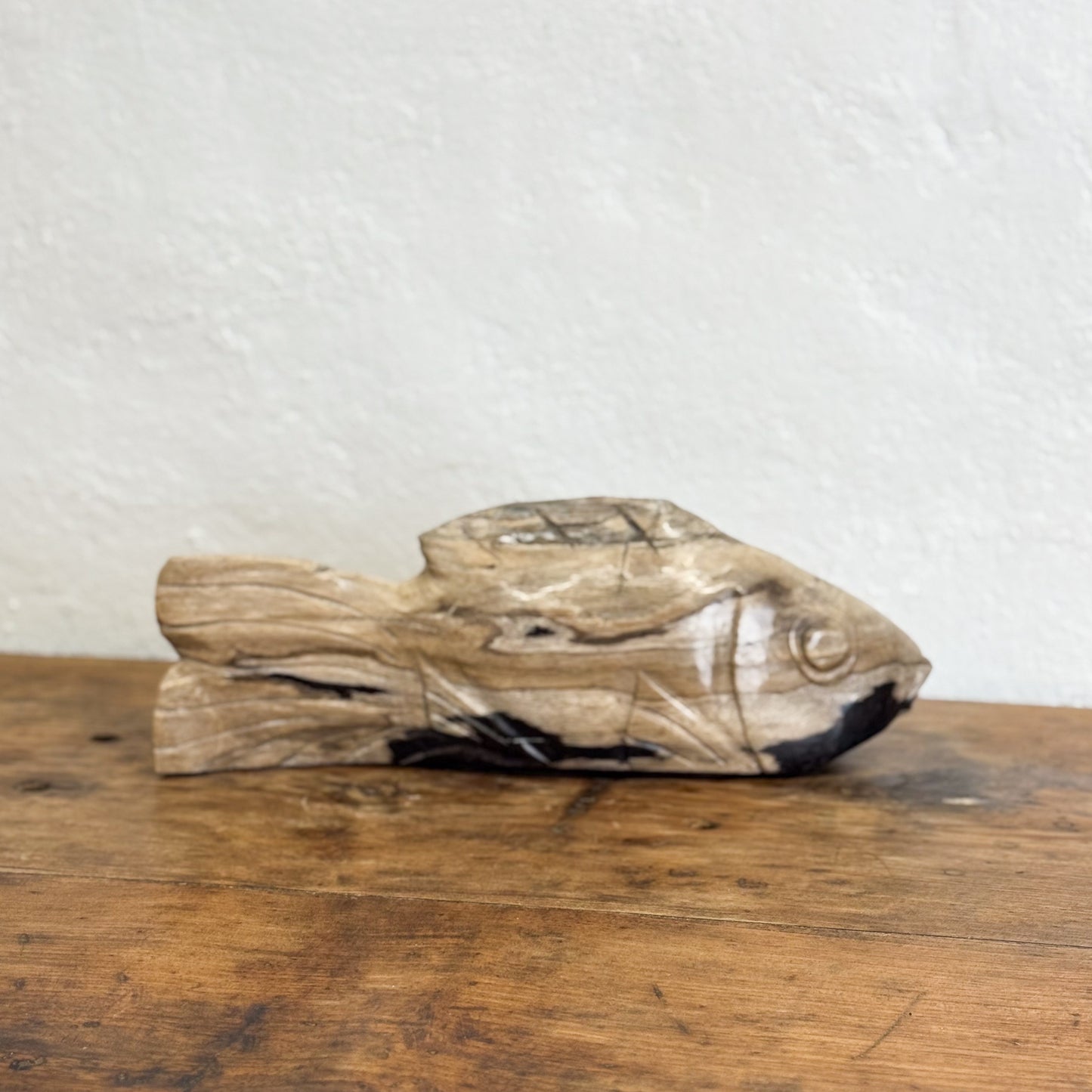 Petrified Wood Fish II