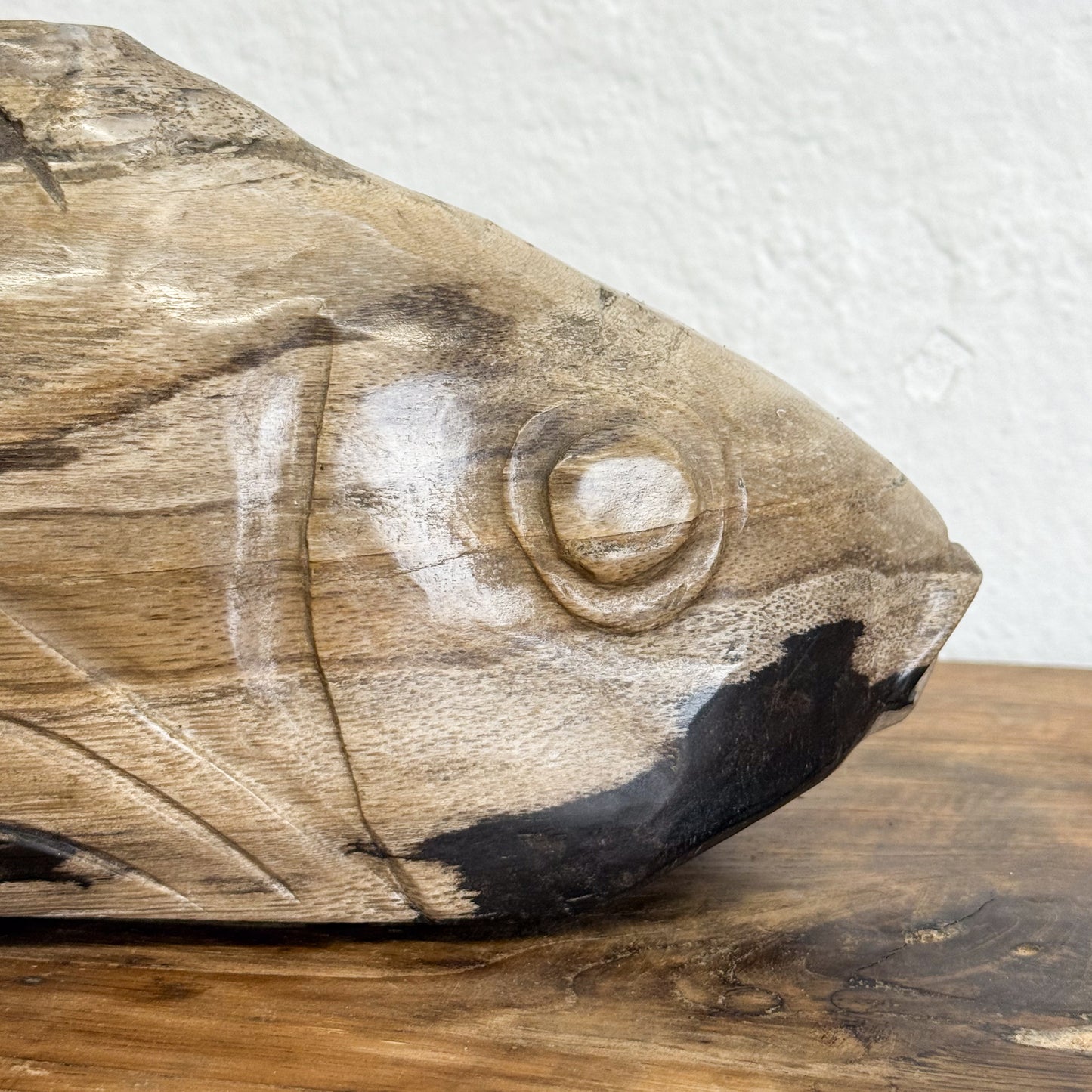 Petrified Wood Fish II
