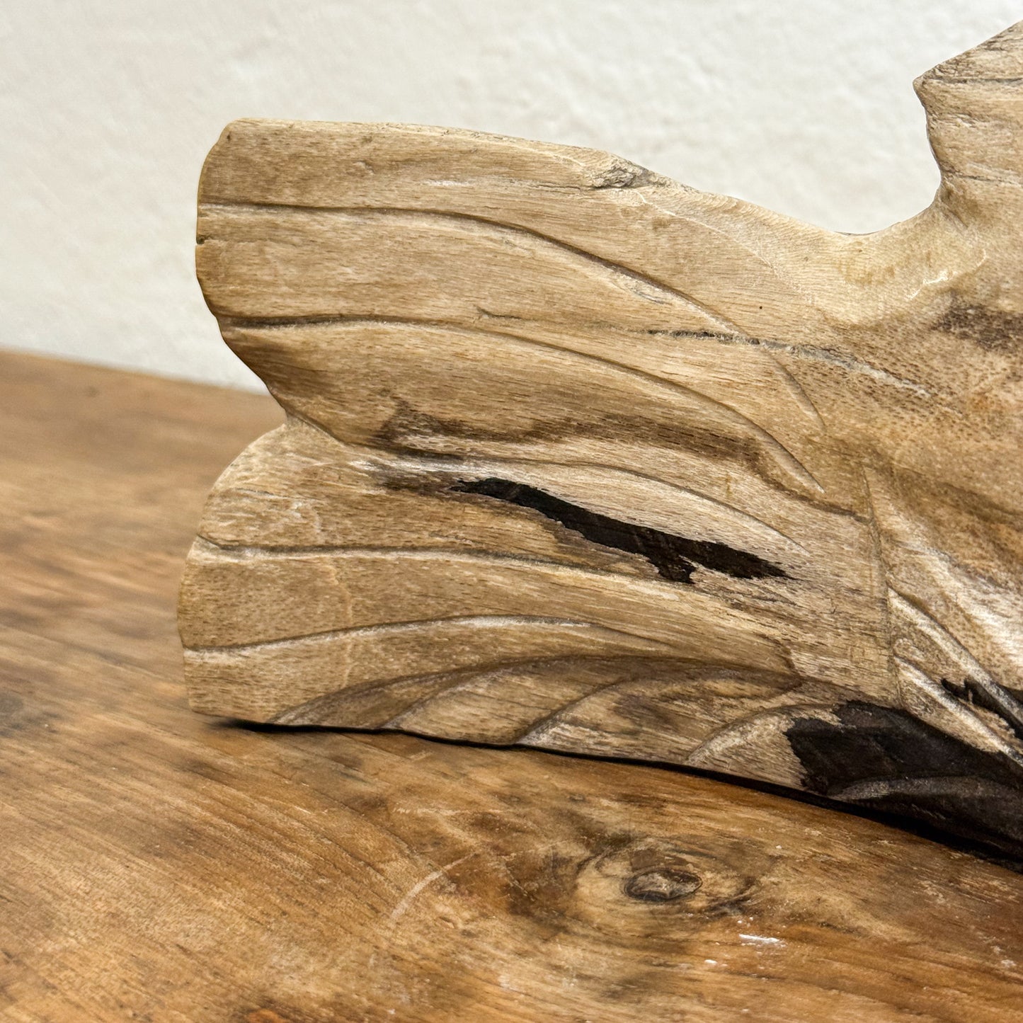 Petrified Wood Fish II