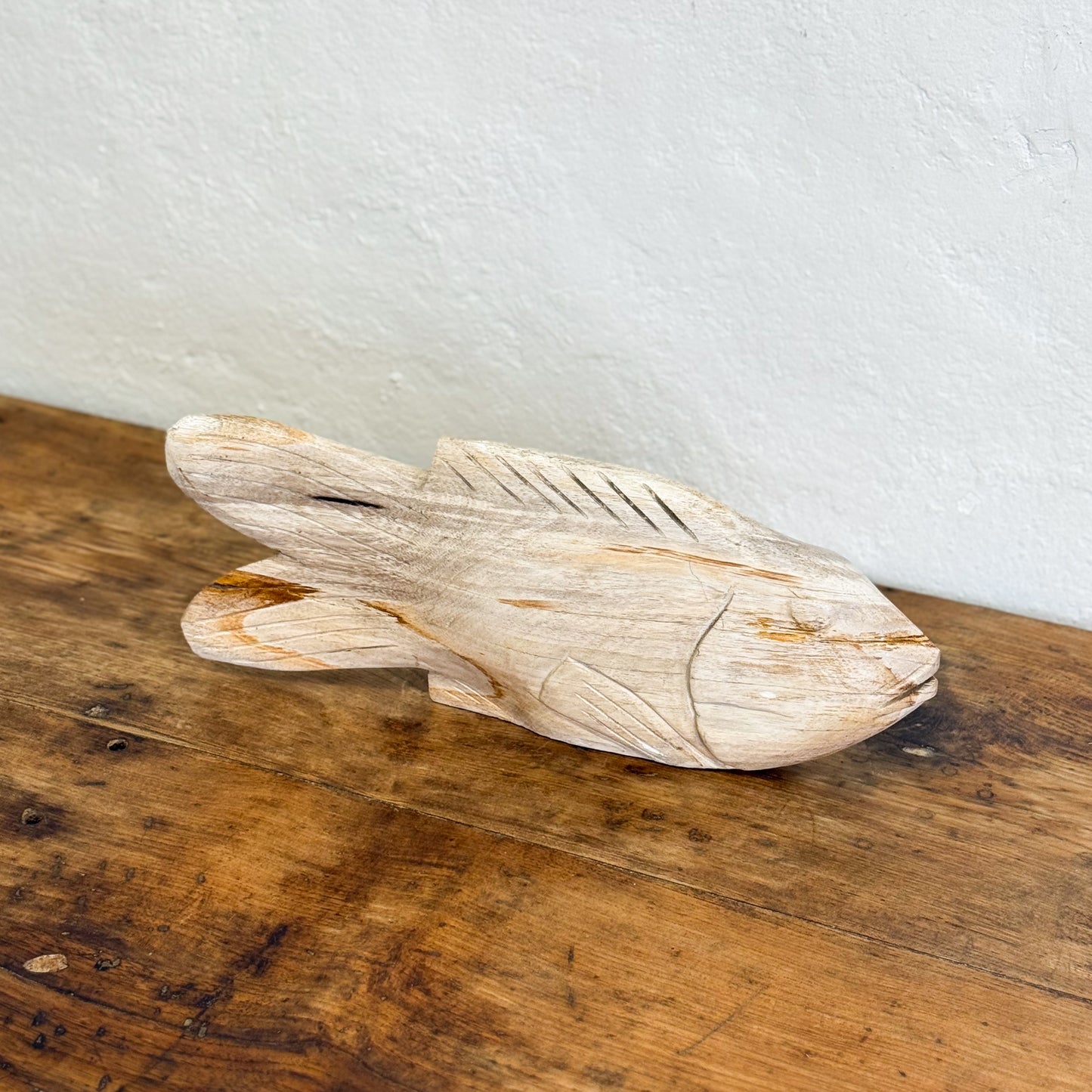 Petrified Wood Fish III