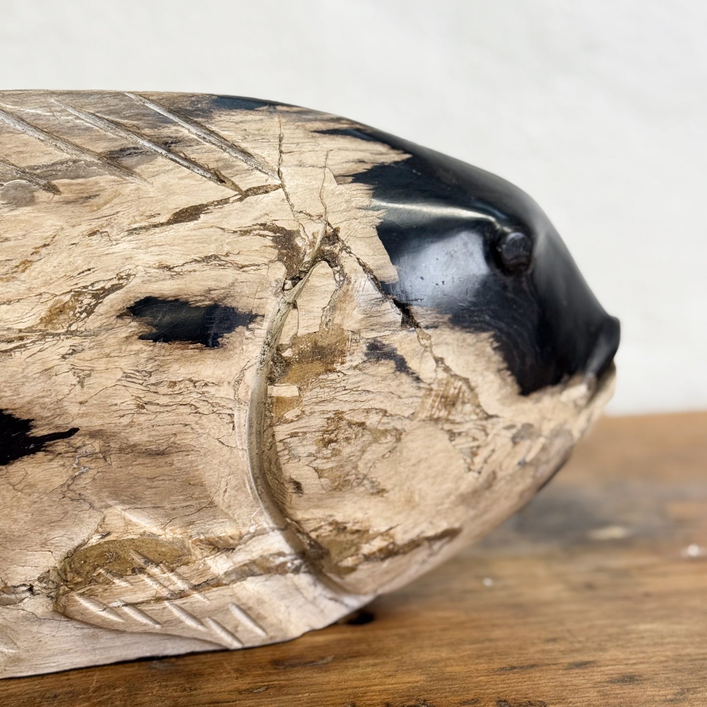 Petrified Wood Fish IV