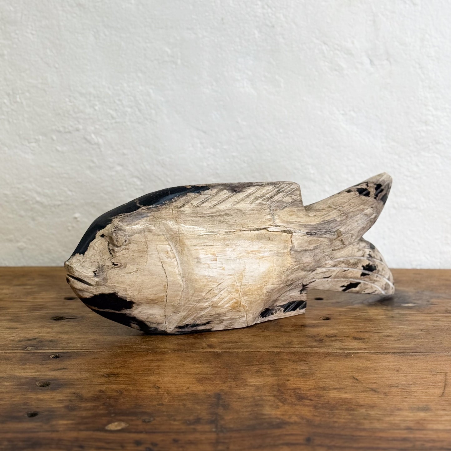 Petrified Wood Fish IV