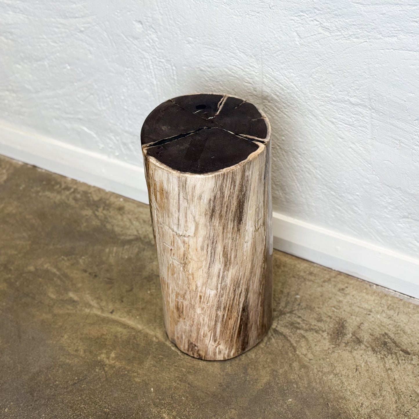 Petrified Wood Stool IX