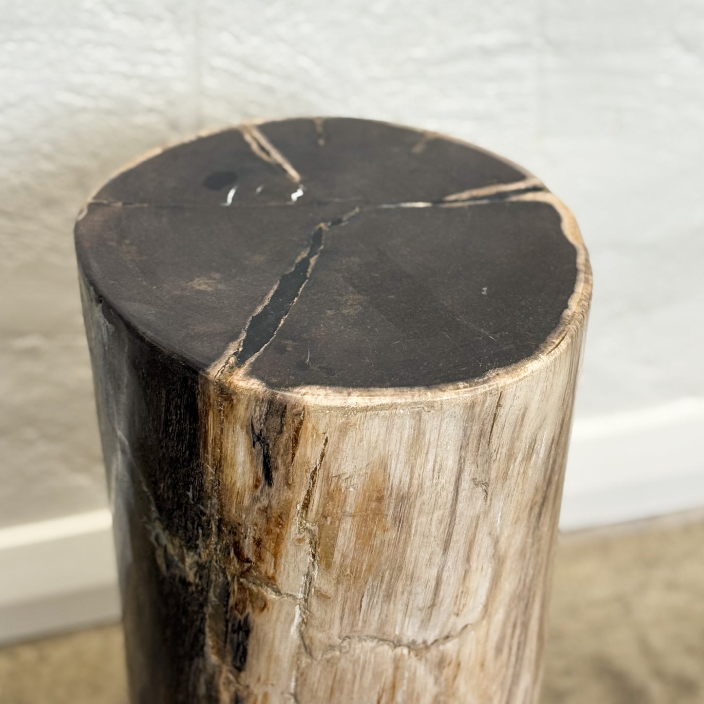 Petrified Wood Stool IX