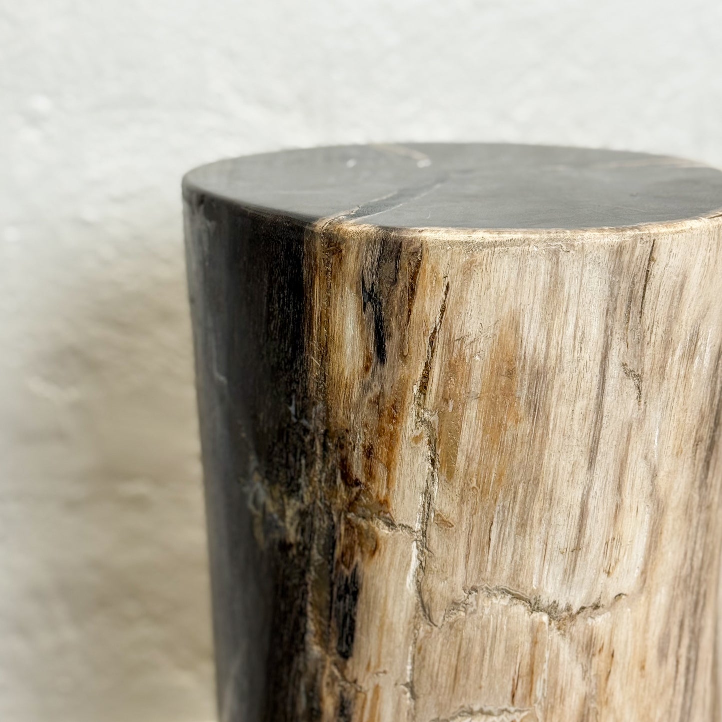 Petrified Wood Stool IX