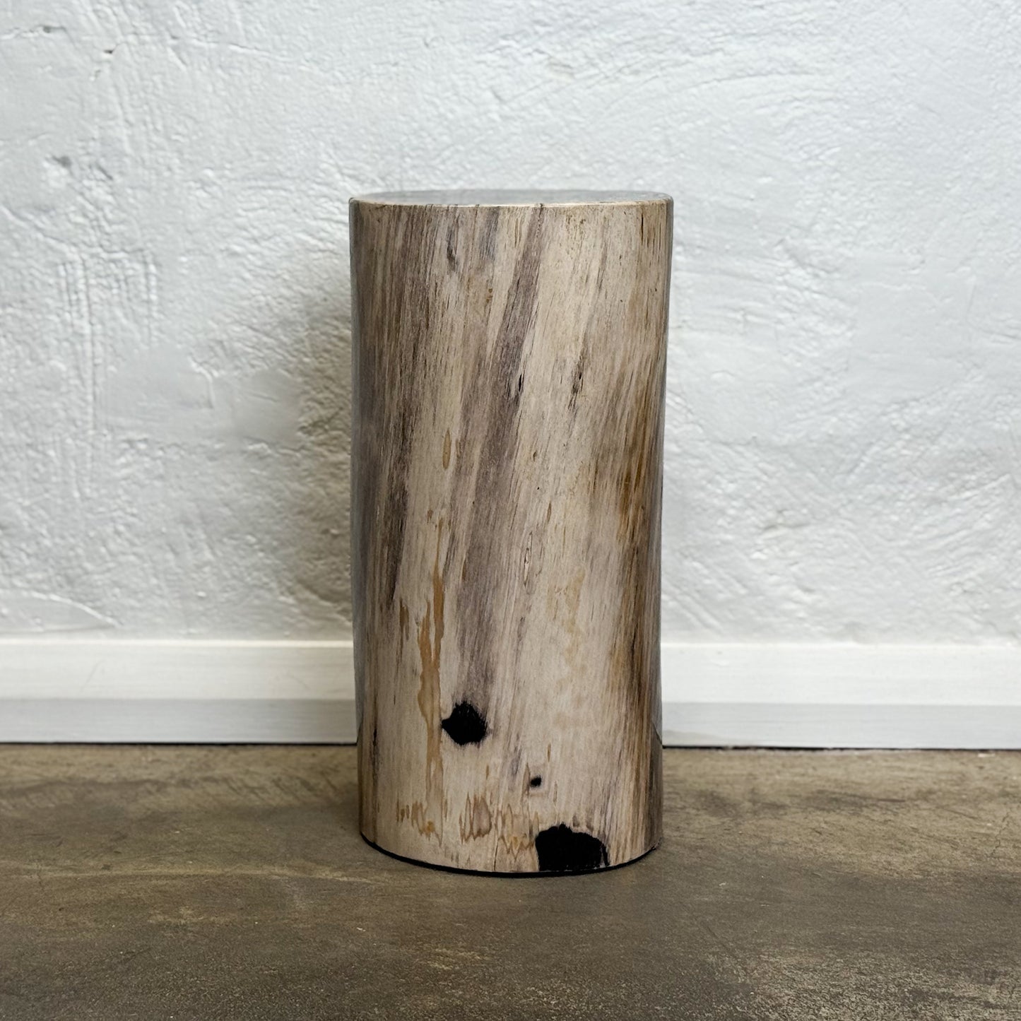 Petrified Wood Stool IX