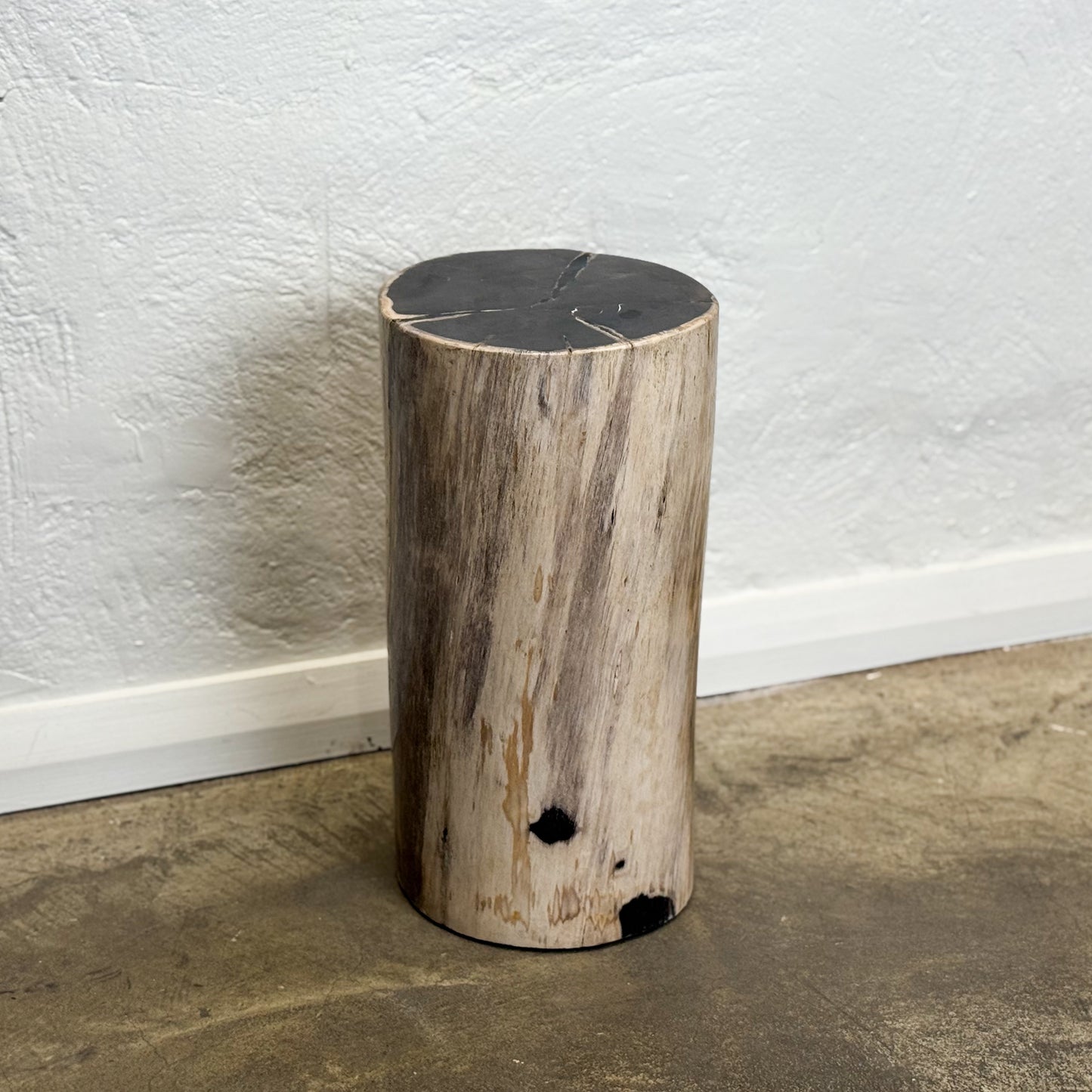 Petrified Wood Stool IX