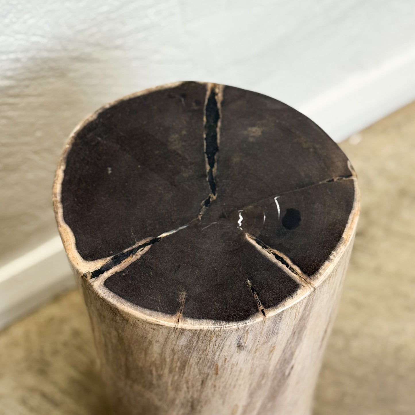 Petrified Wood Stool IX