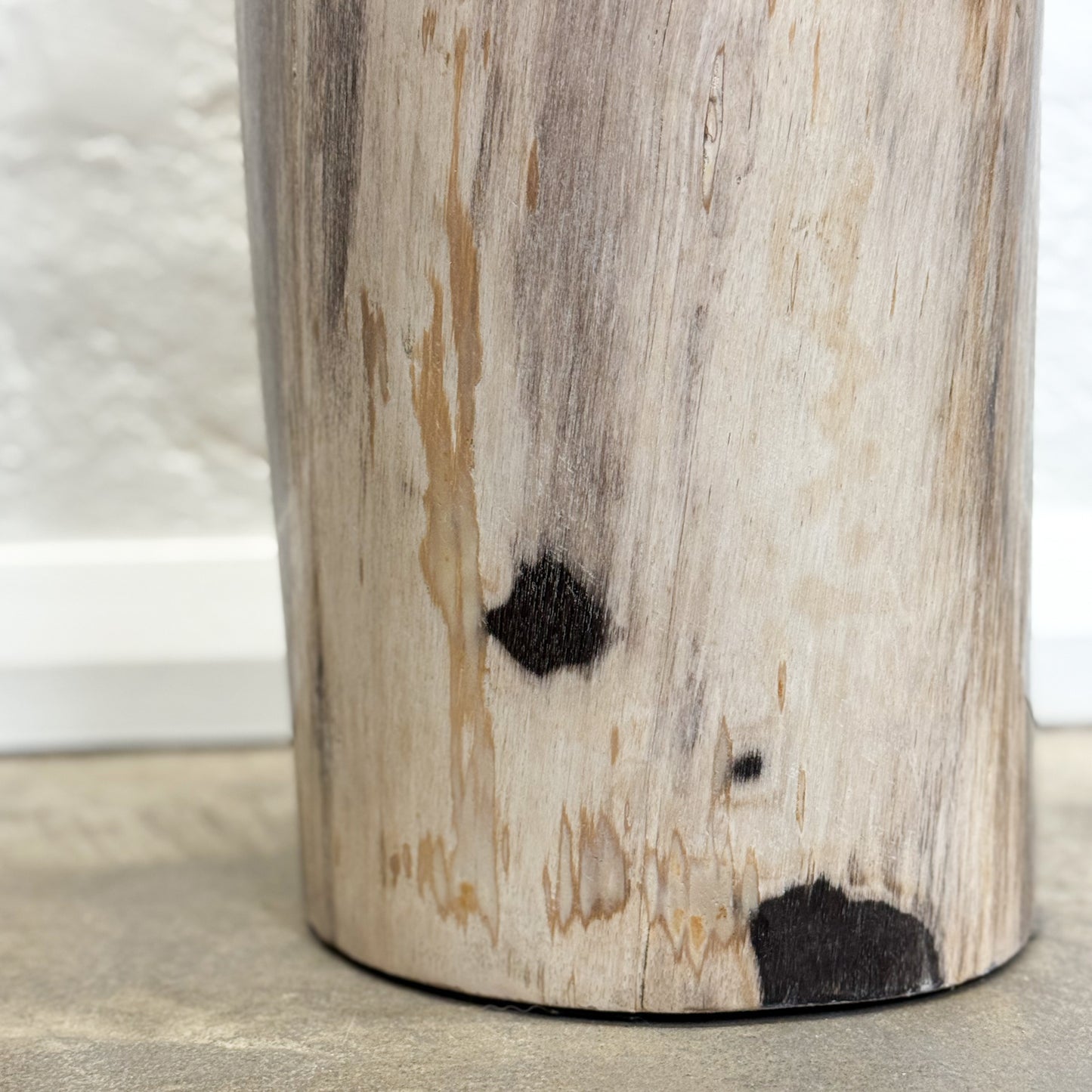 Petrified Wood Stool IX