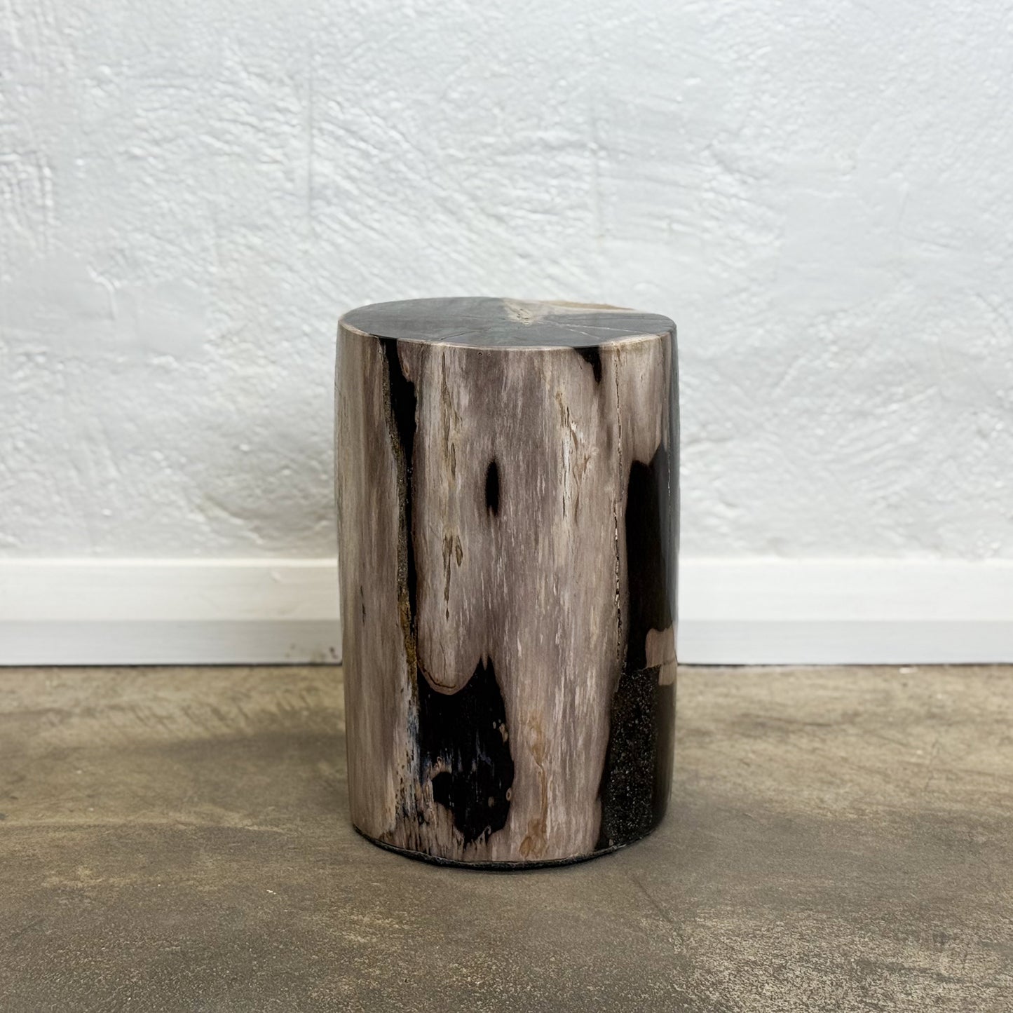 Petrified Wood Stool X