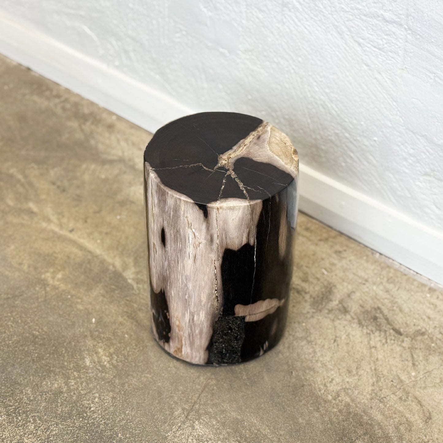 Petrified Wood Stool X