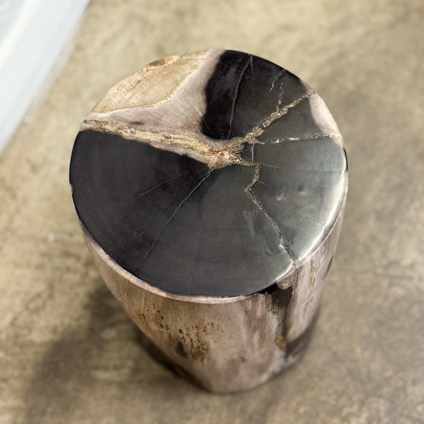 Petrified Wood Stool X