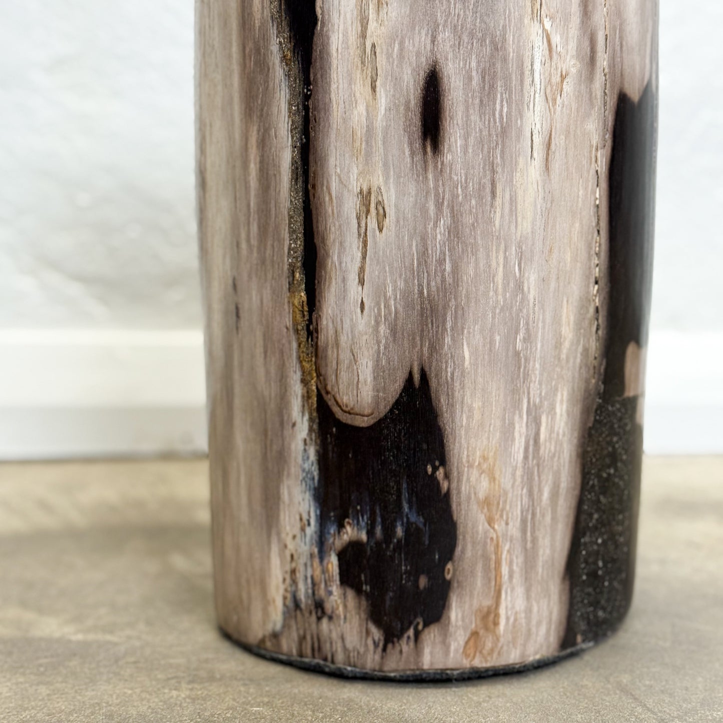 Petrified Wood Stool X