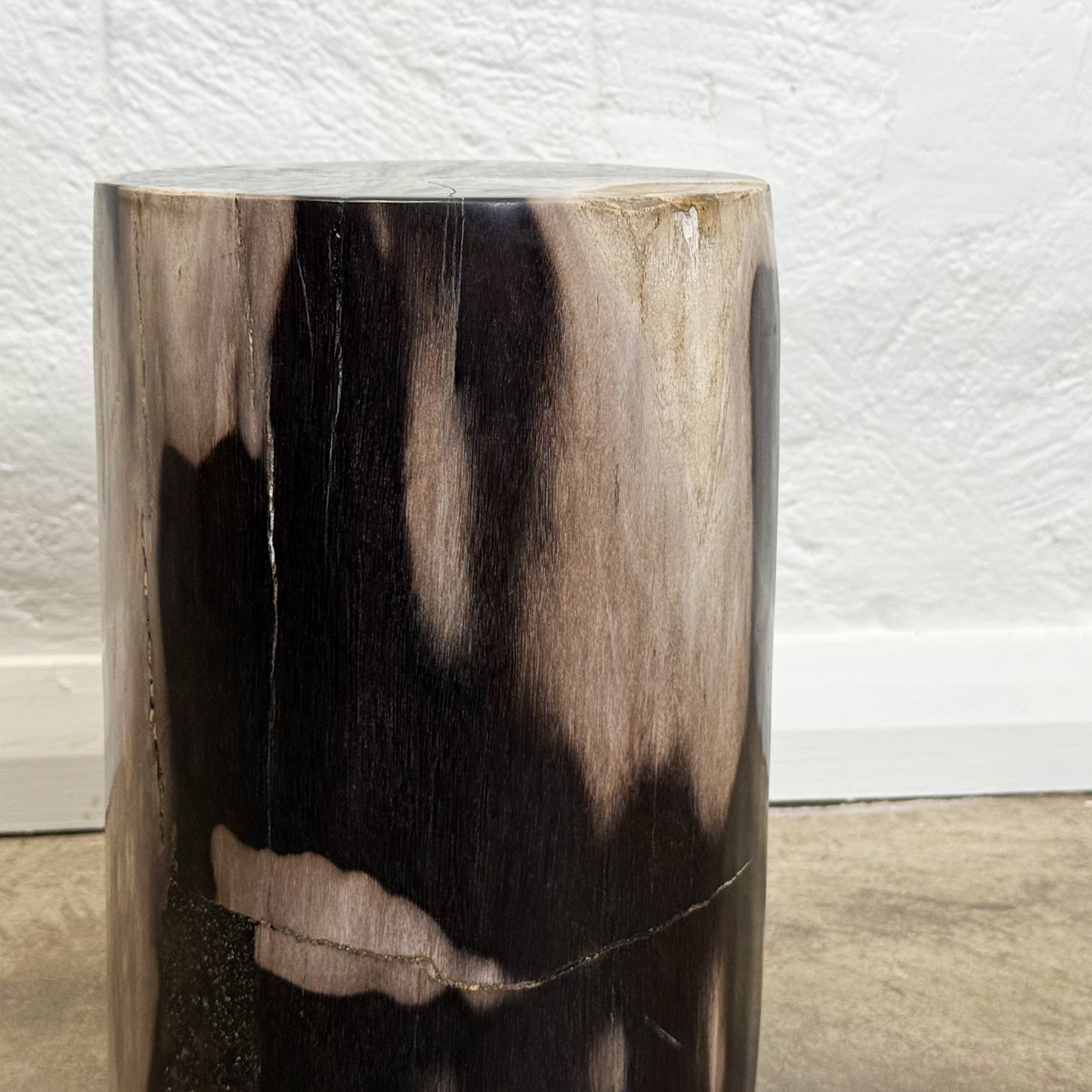 Petrified Wood Stool X