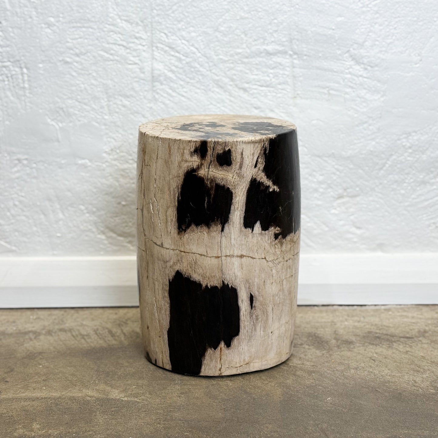 Petrified Wood Stool XI