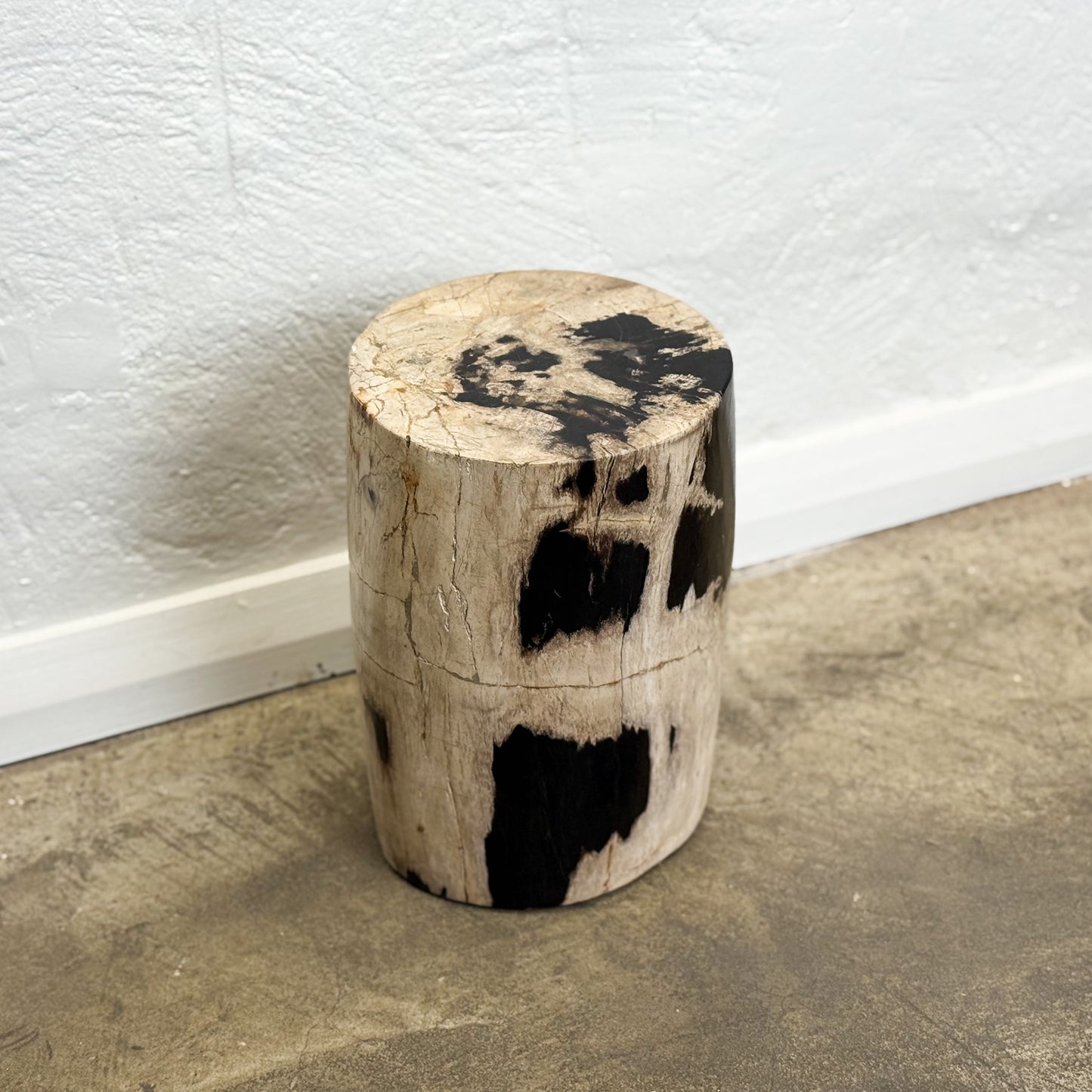 Petrified Wood Stool XI