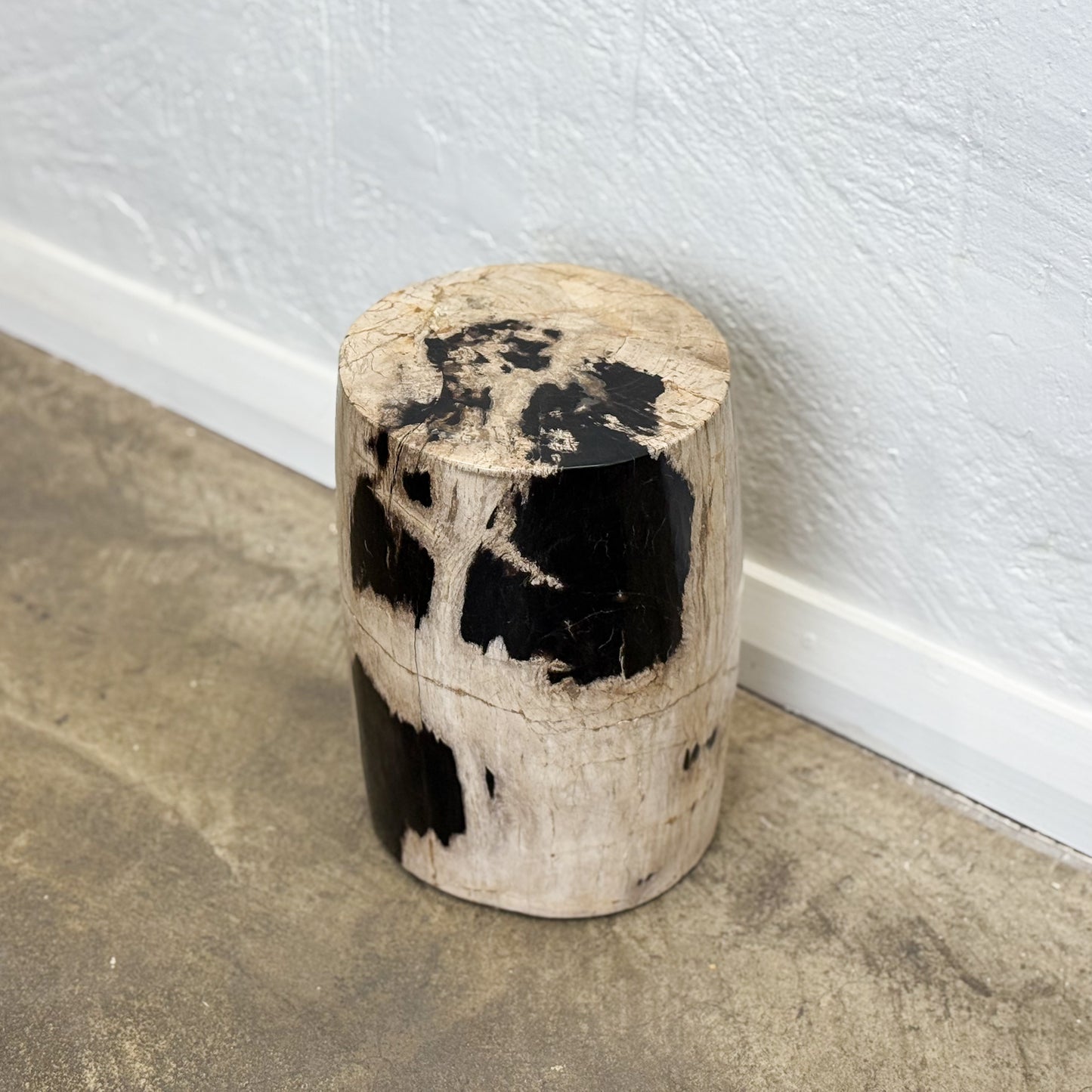 Petrified Wood Stool XI