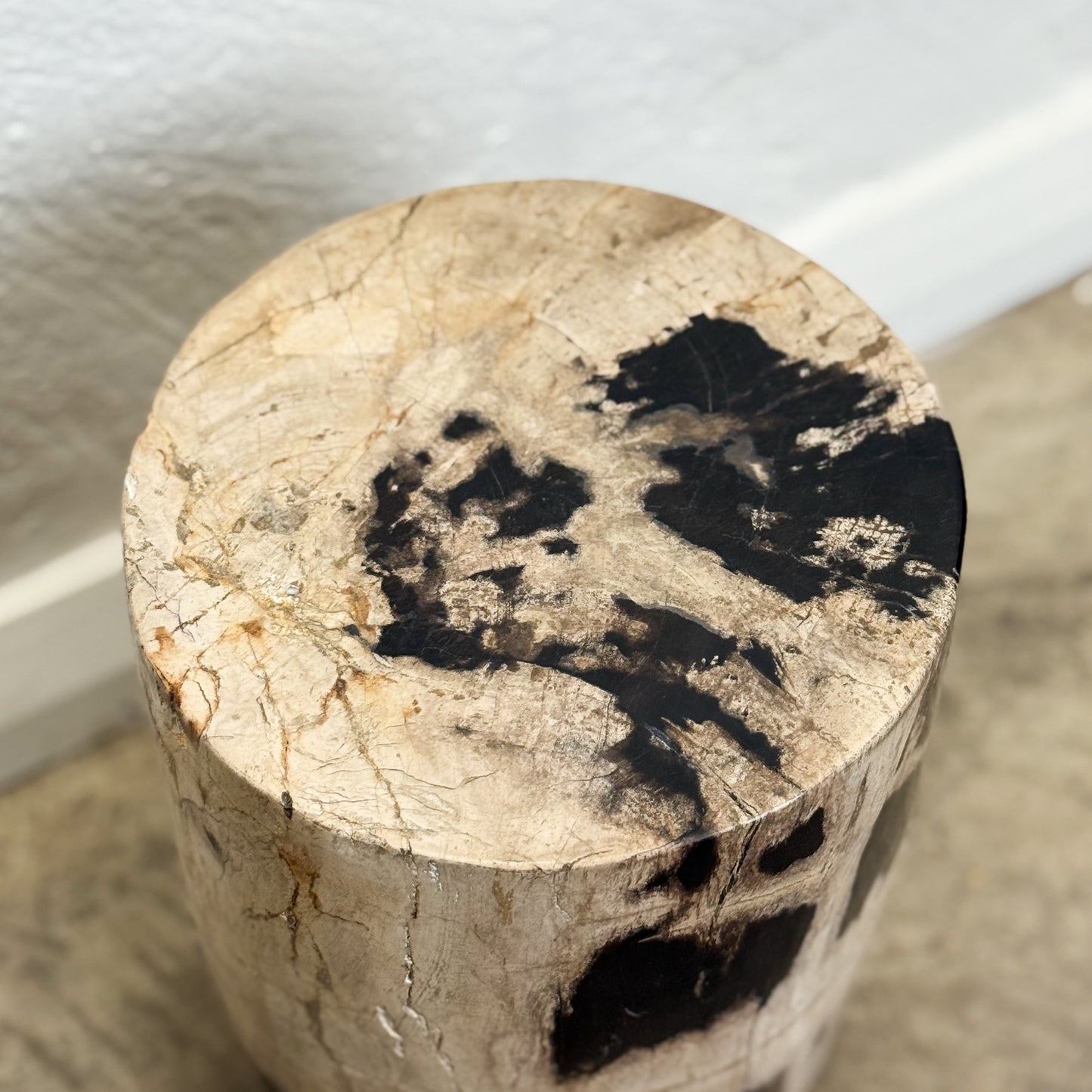 Petrified Wood Stool XI