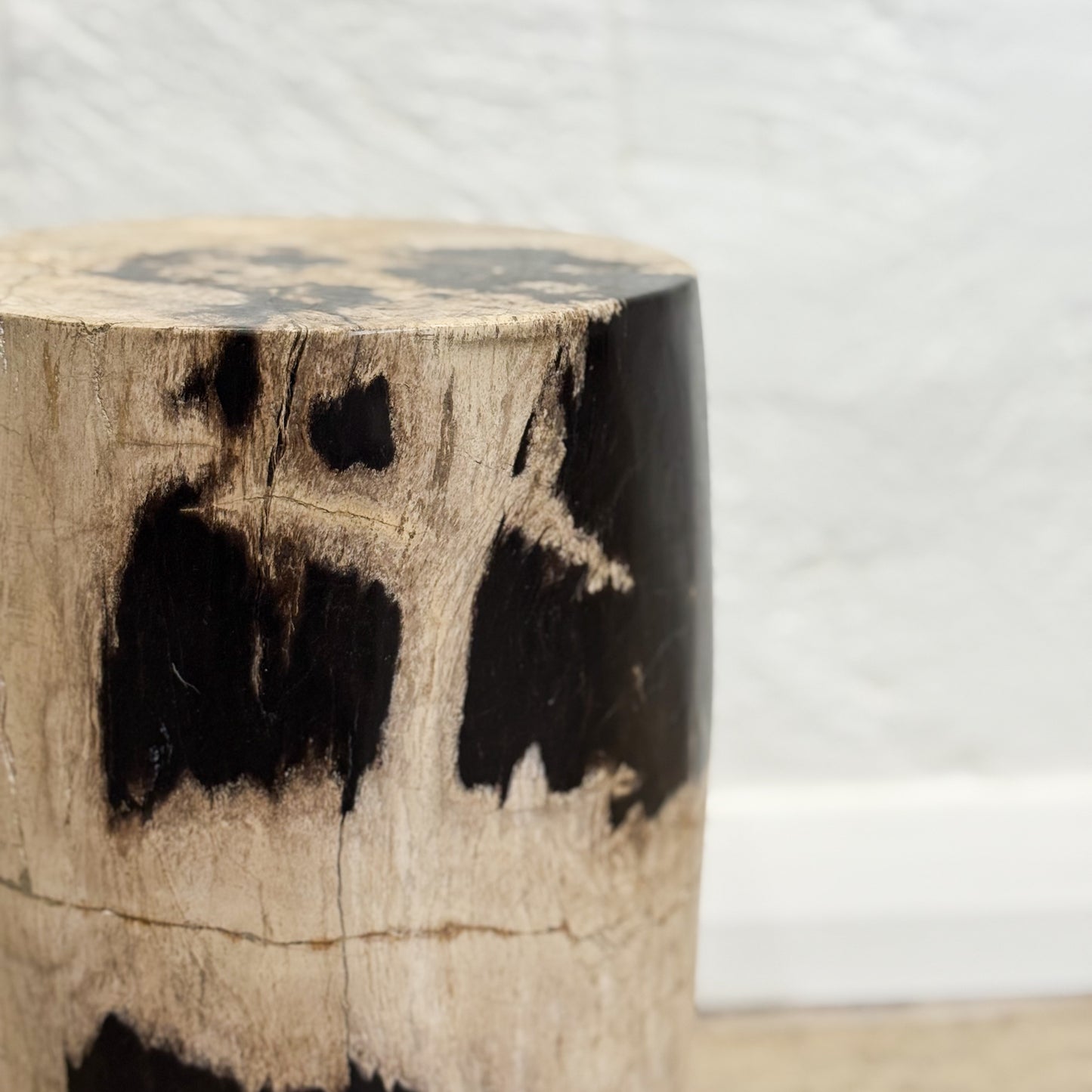 Petrified Wood Stool XI