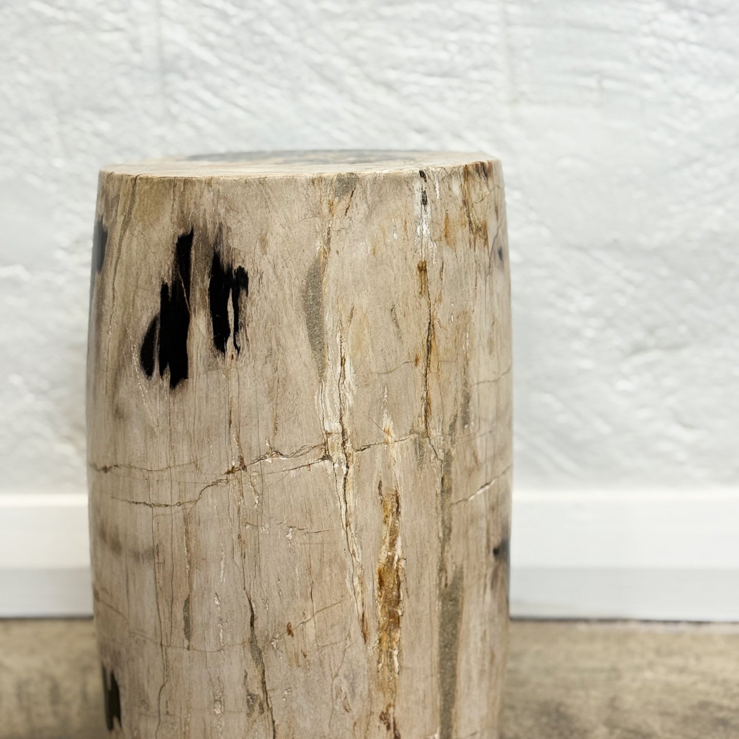 Petrified Wood Stool XI