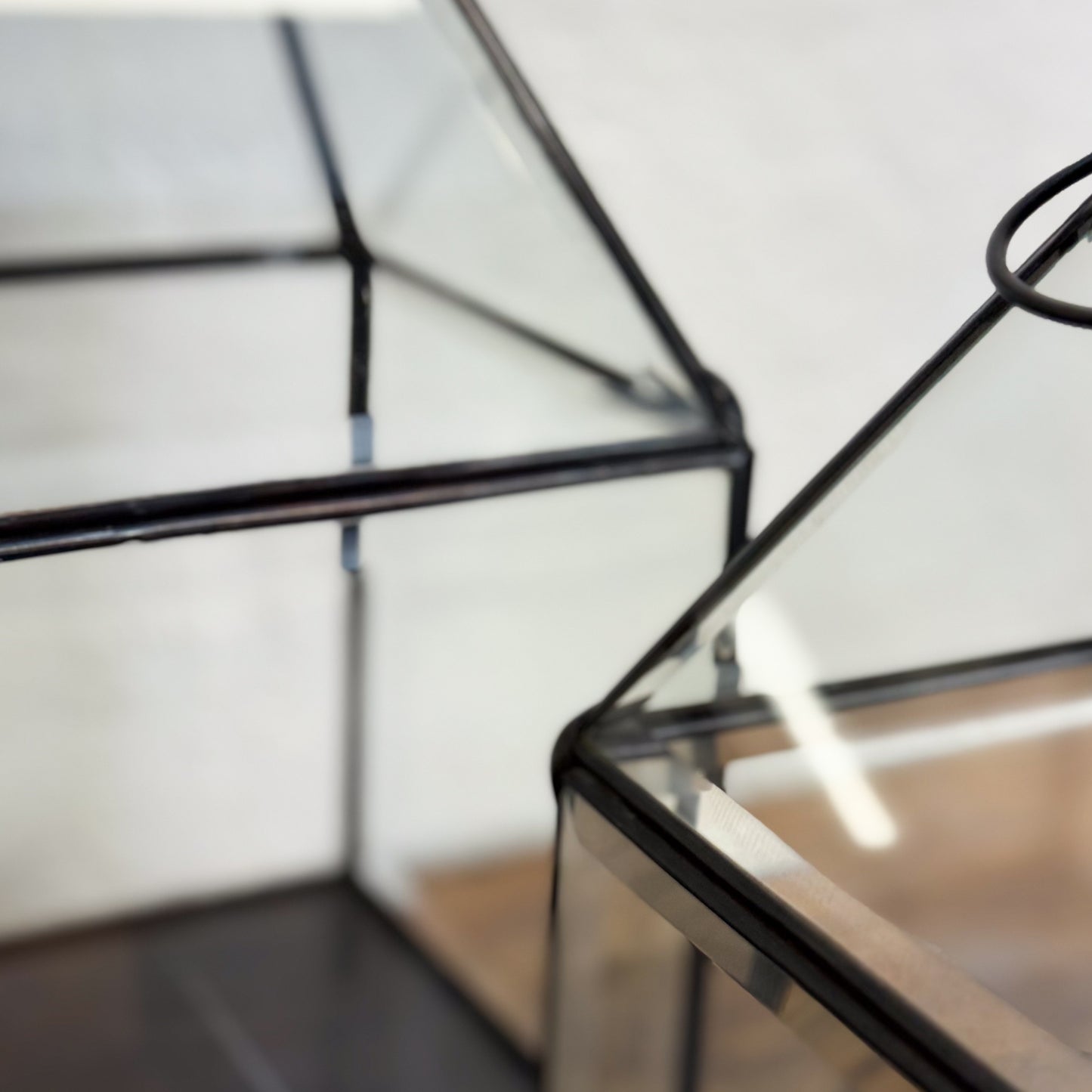 Glass display case with black metal frame on a white background