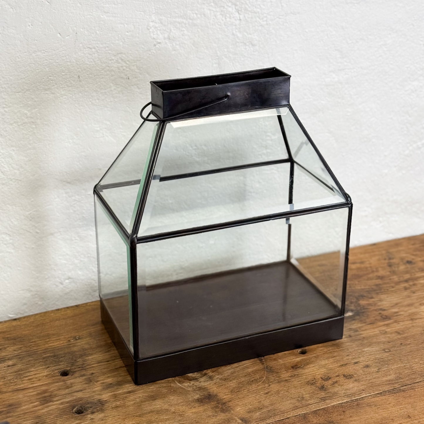 Glass terrarium with black metal frame on a wooden surface