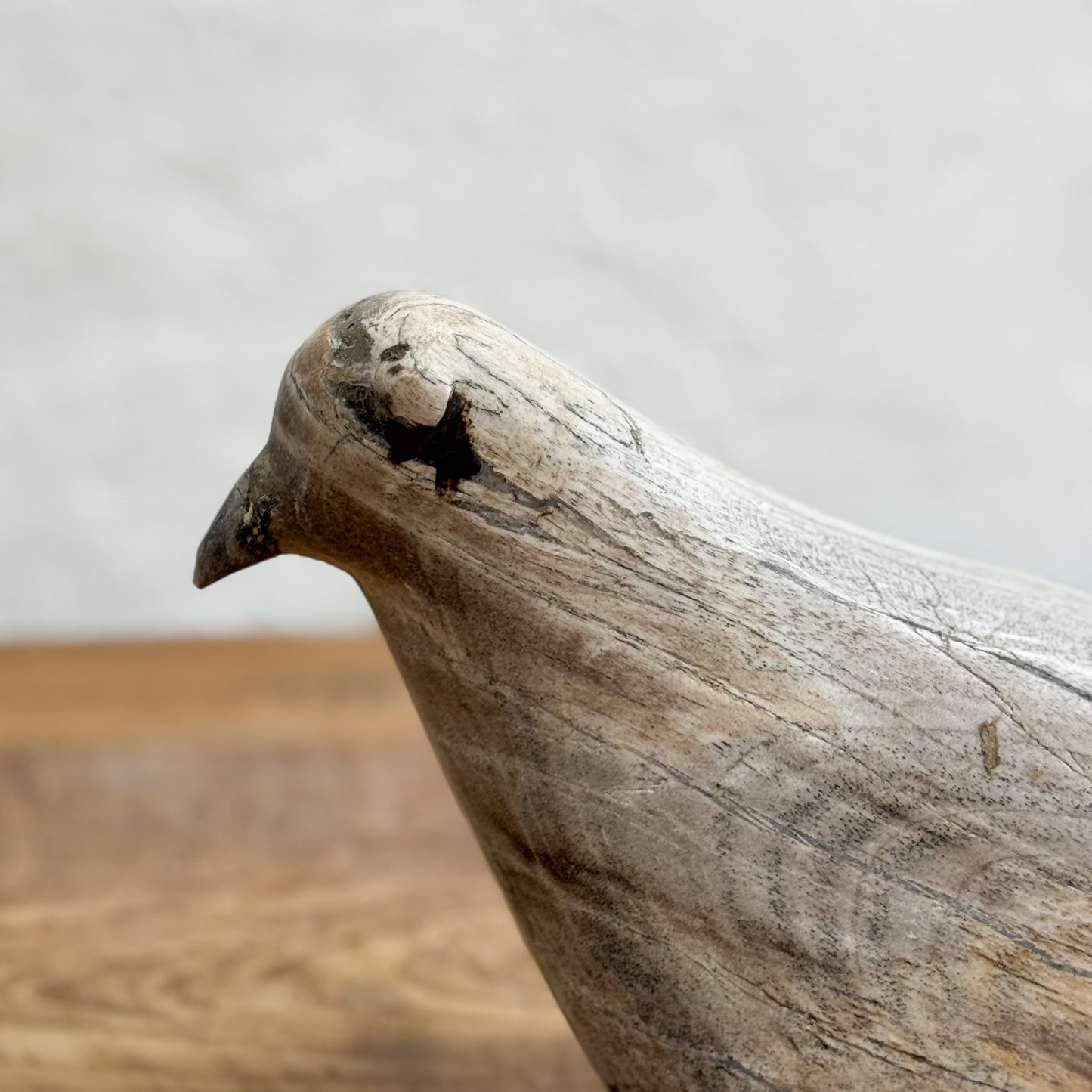 Driftwood shaped like a bird on a neutral background