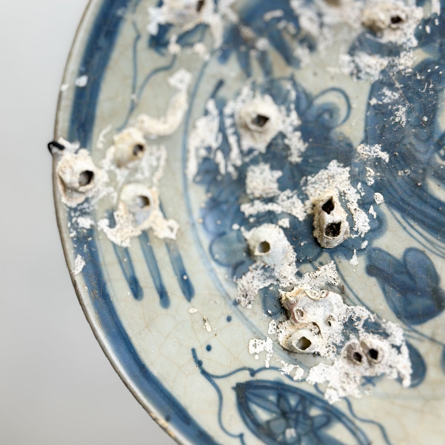 Barnacled Vintage Chinese Plate on Stand