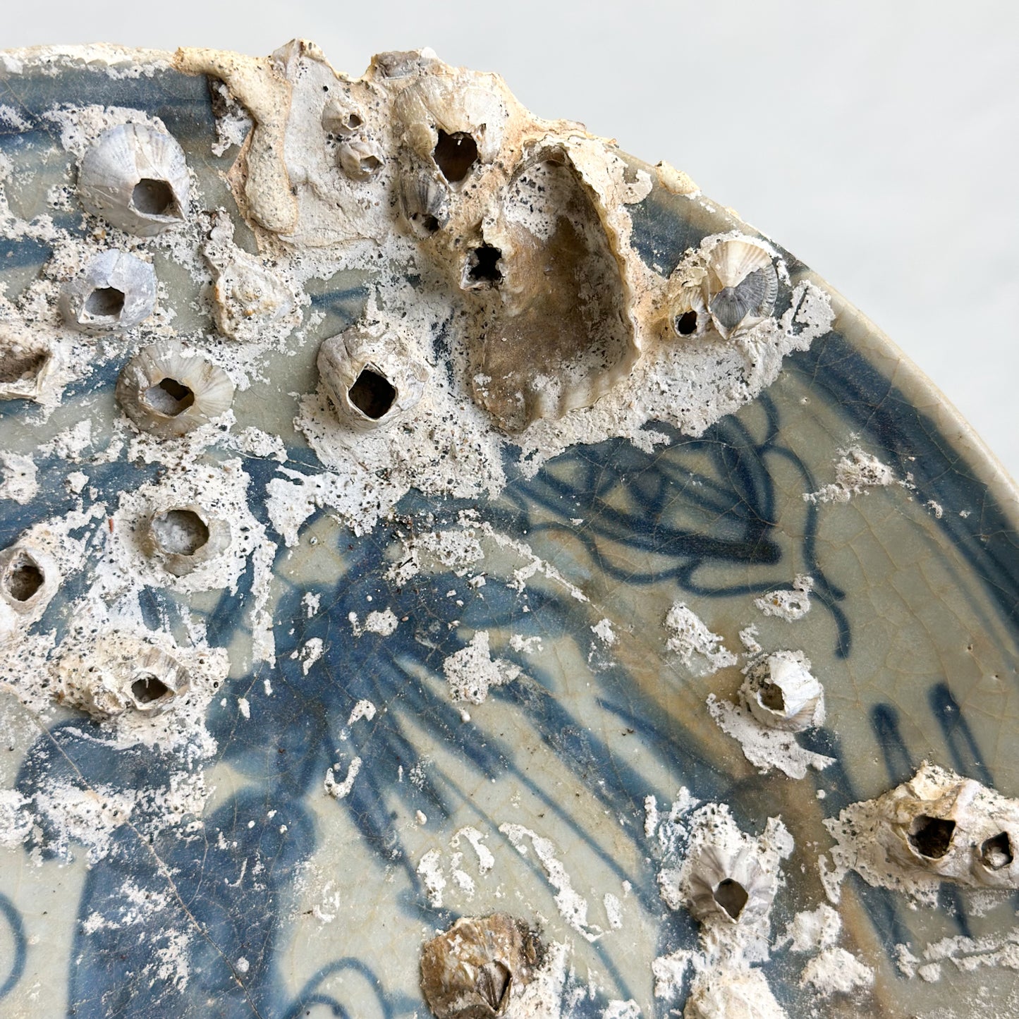 Barnacled Vintage Chinese Plate on Stand