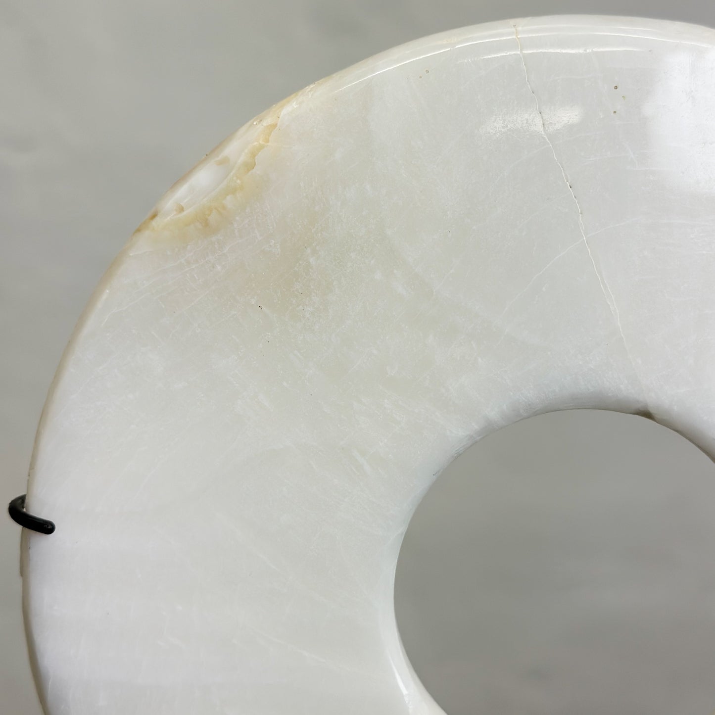 Kima Shell Disc on Stand