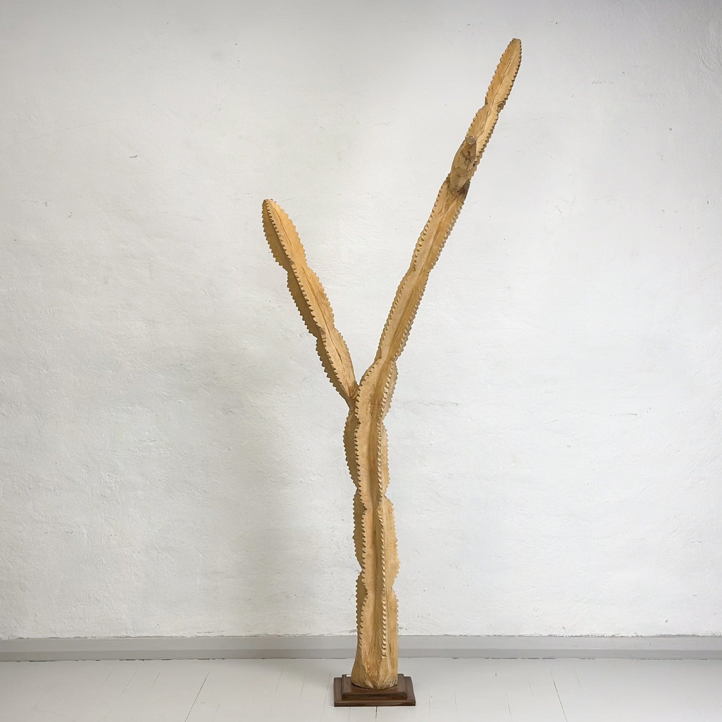 Swazi African Milk Tree III