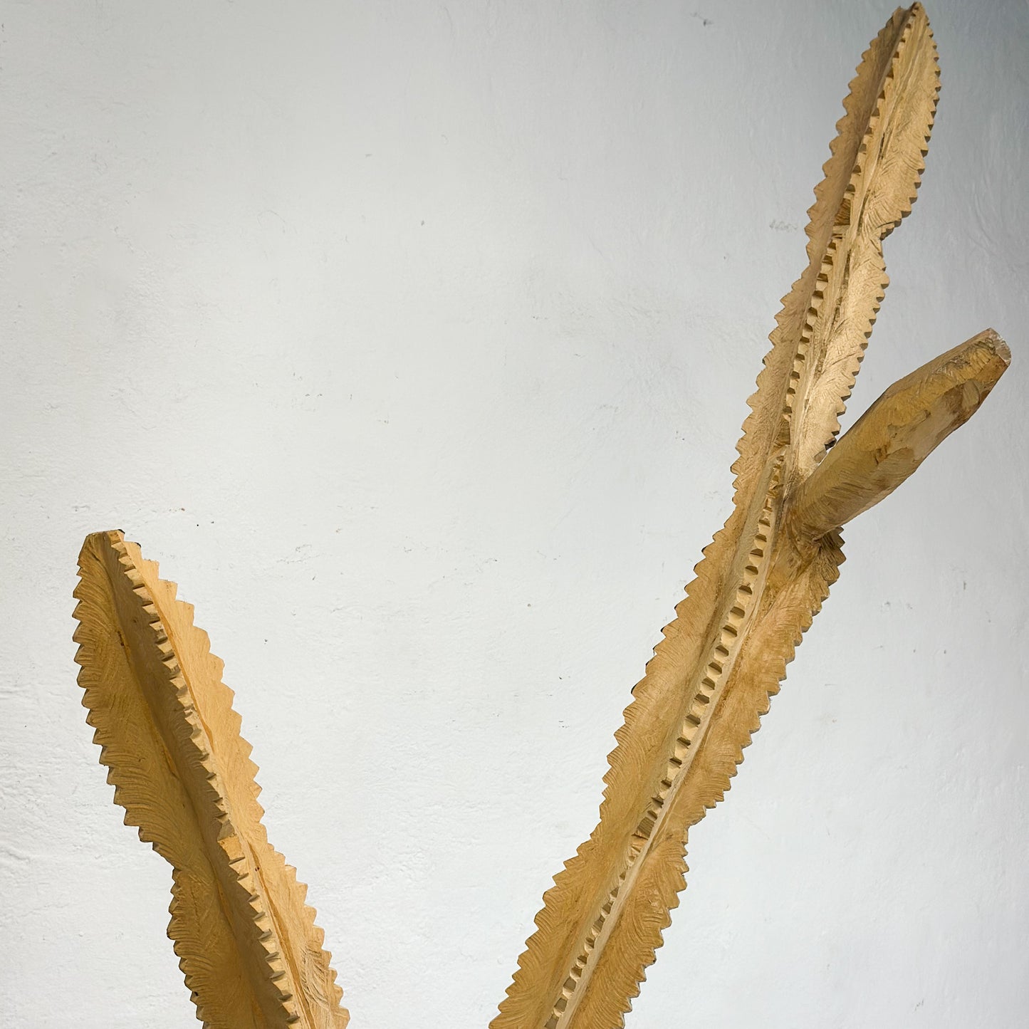 Swazi African Milk Tree III
