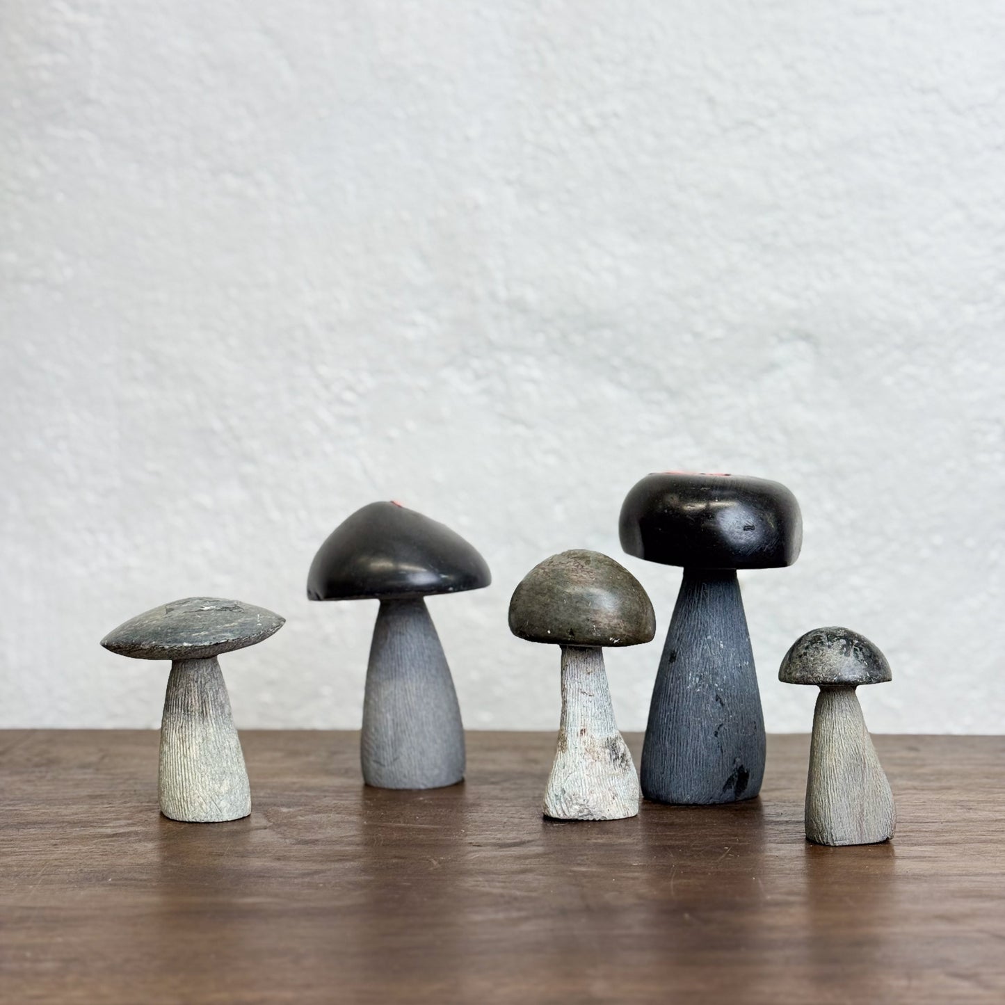 Assorted Stone Mushroom - Zimbabwe