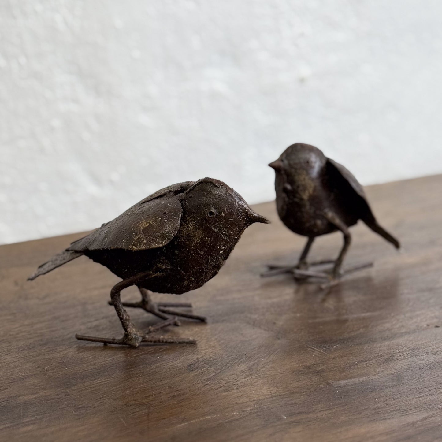 Small Metal Robin  - Zimbabwe