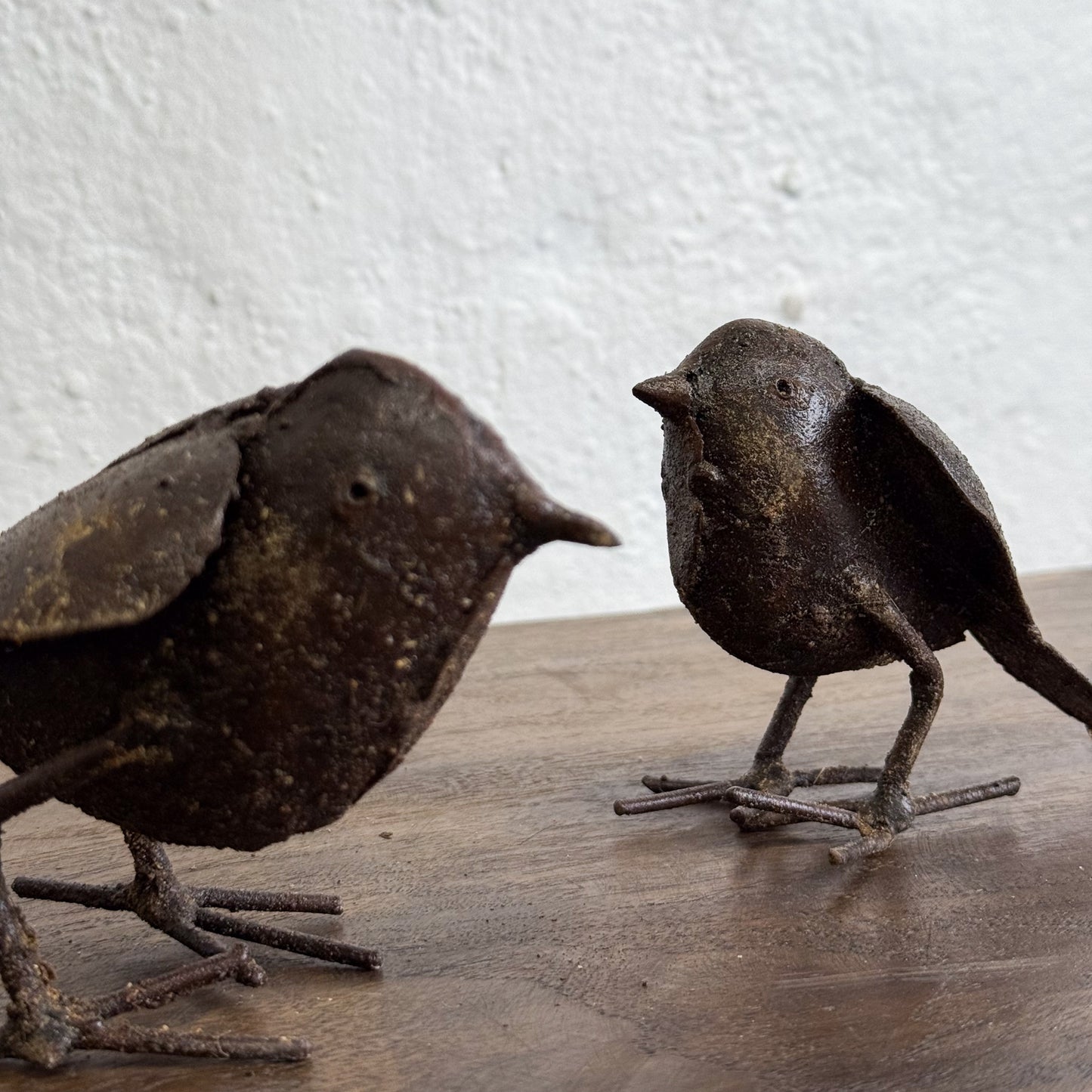 Small Metal Robin  - Zimbabwe