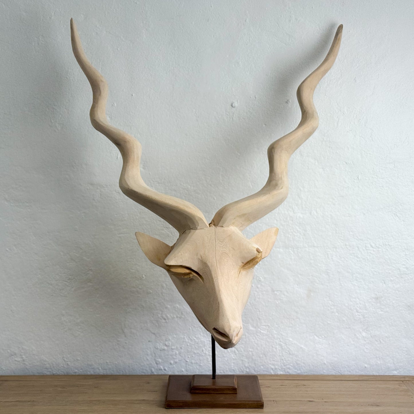 Large Swazi Kudu Head - Eswatini