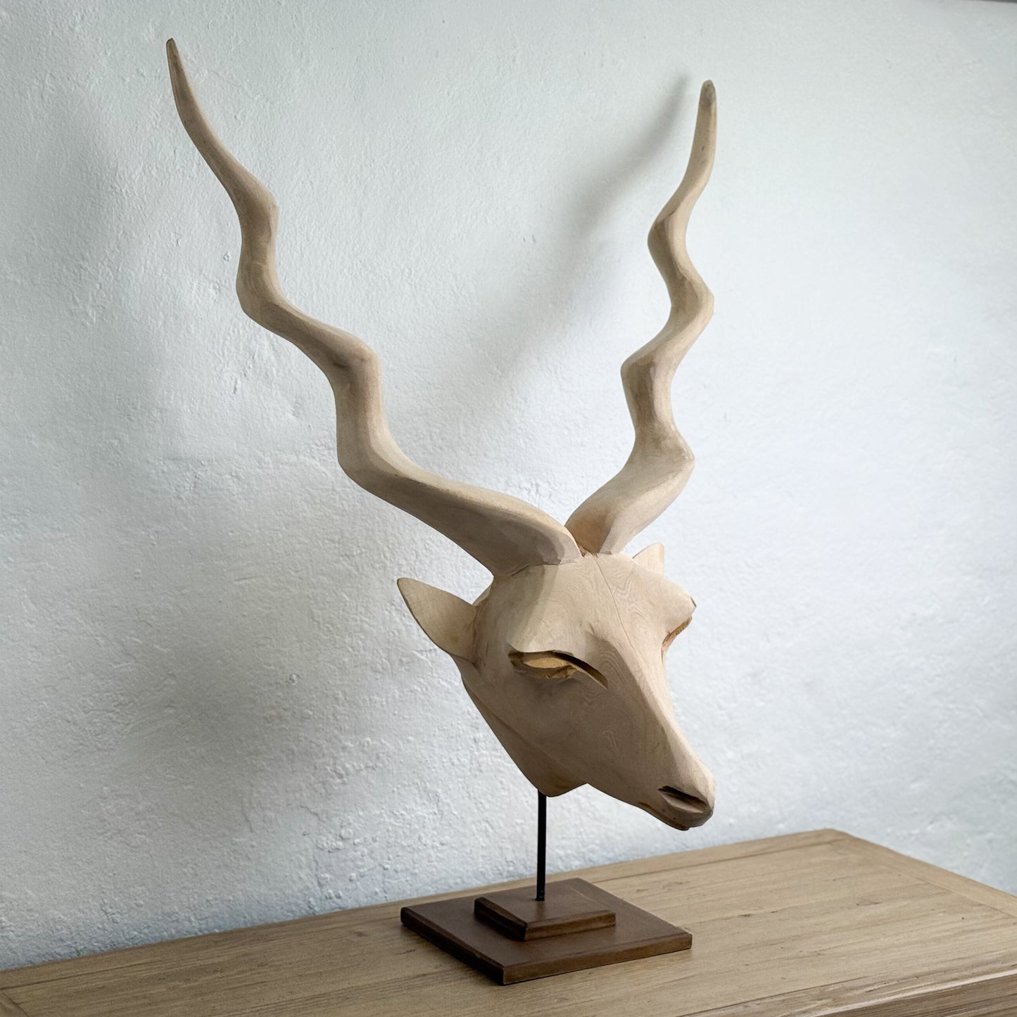 Large Swazi Kudu Head - Eswatini