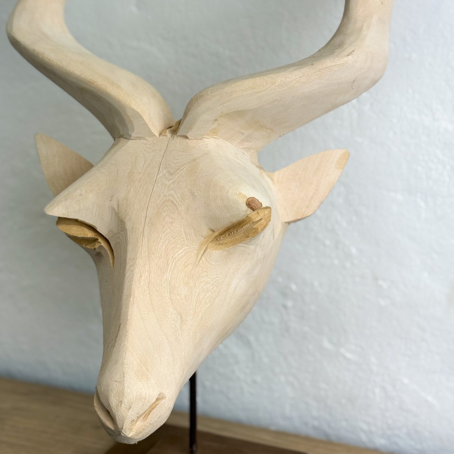 Large Swazi Kudu Head - Eswatini