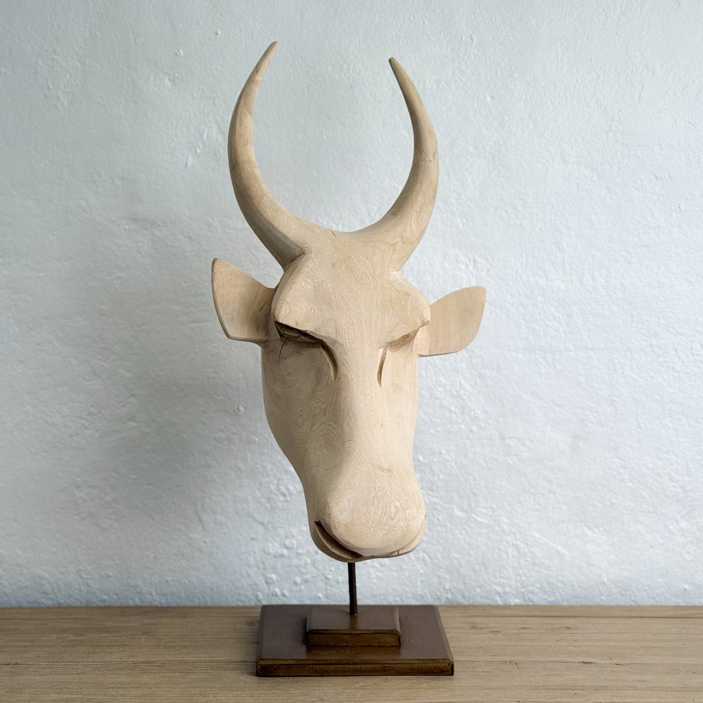 Swazi Bull Head - Eswatini