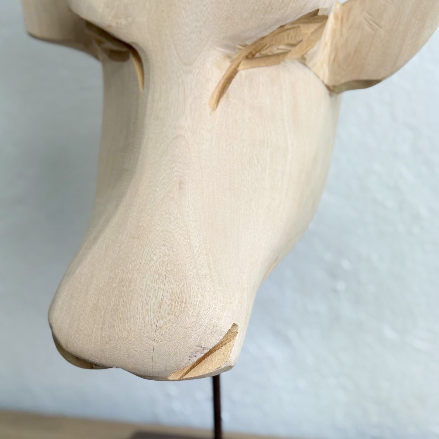 Swazi Bull Head - Eswatini