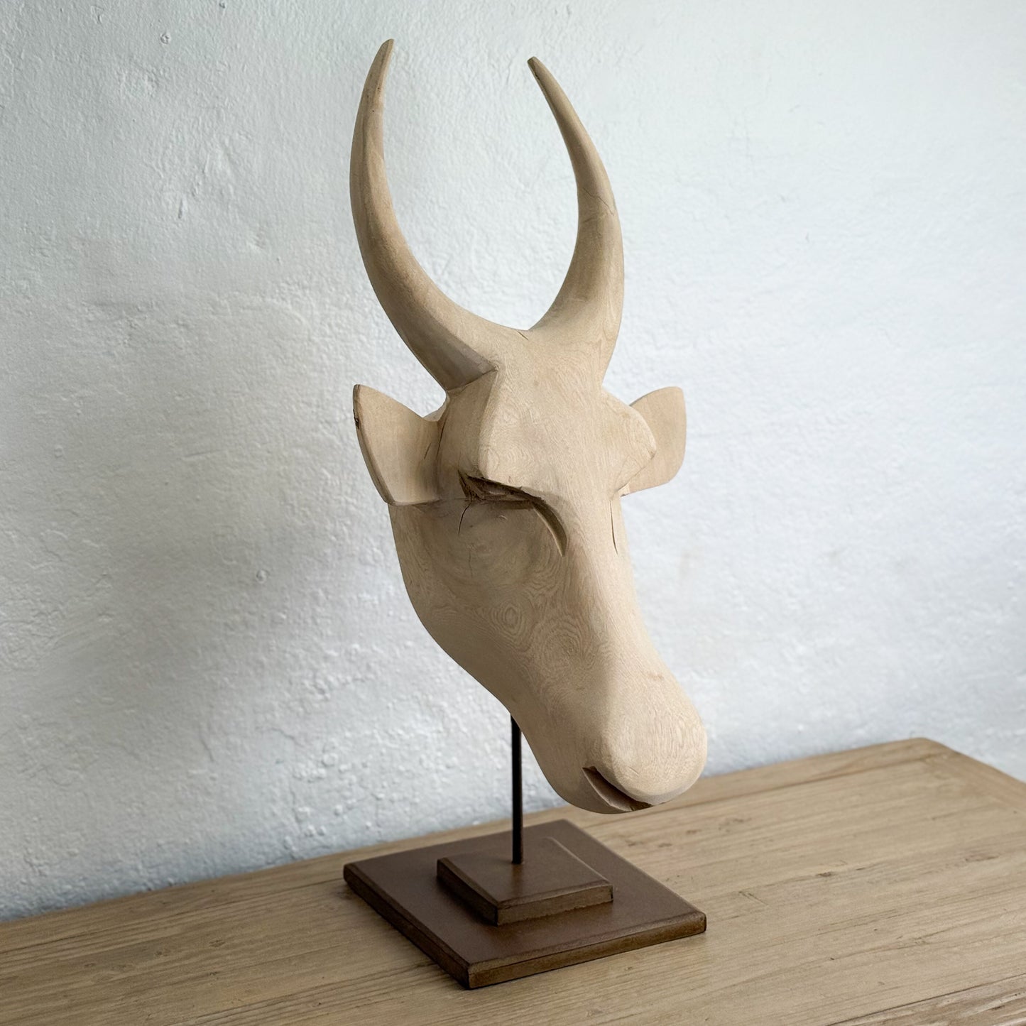 Swazi Bull Head - Eswatini